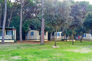 Kamp Biograd Mobilne kućice
