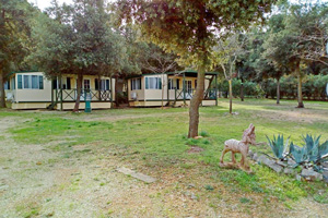 Camp Biograd Lagerplätze